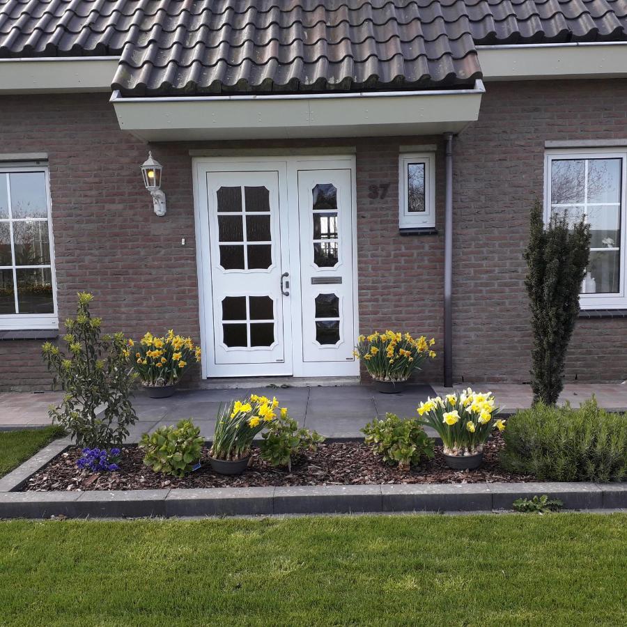 Вилла Groot Familiehuis Voor 6 Personen In Landelijke, Rustige Omgeving Breezand Экстерьер фото